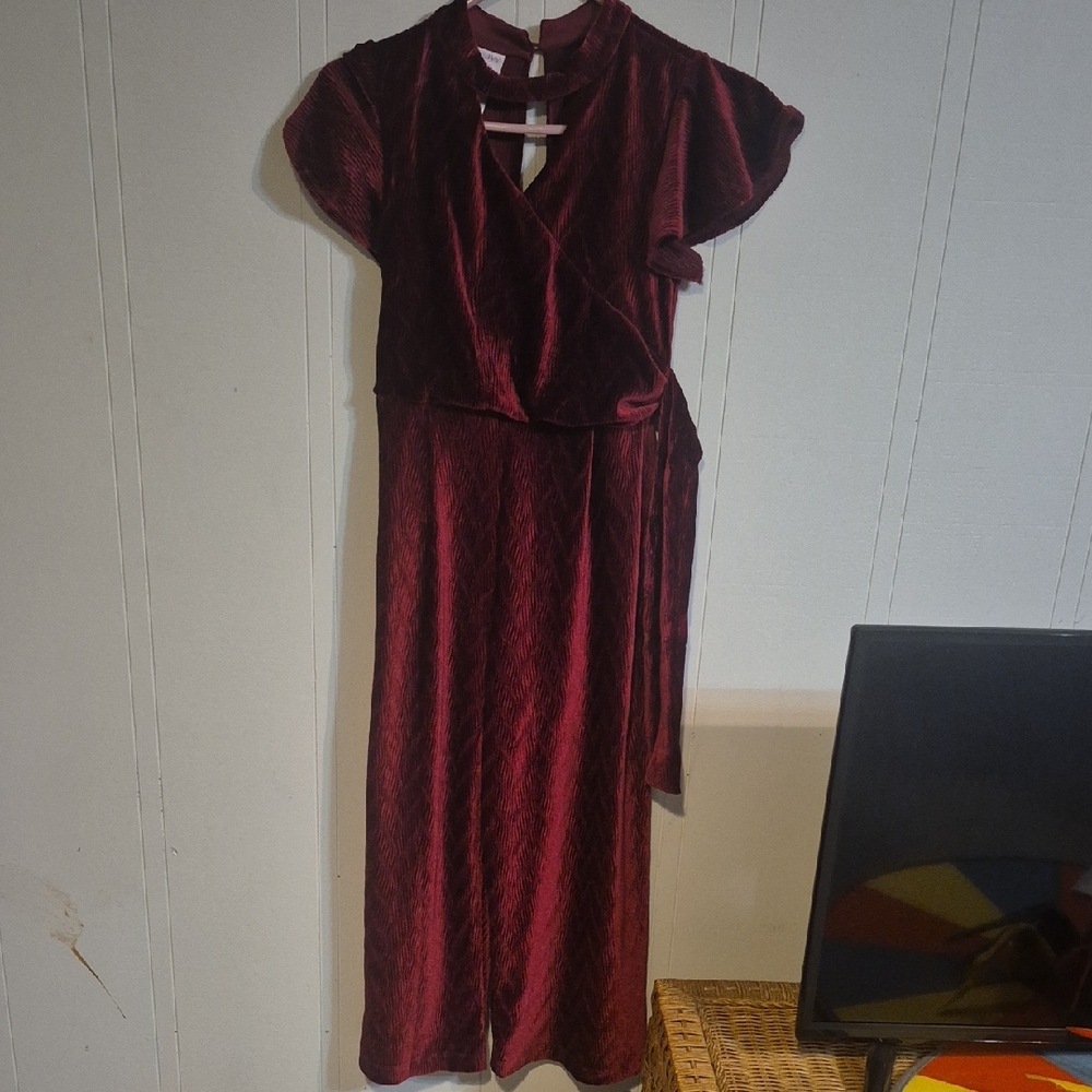 Iris & Ivy Velvet Jumpsuit in Deep Burgundy